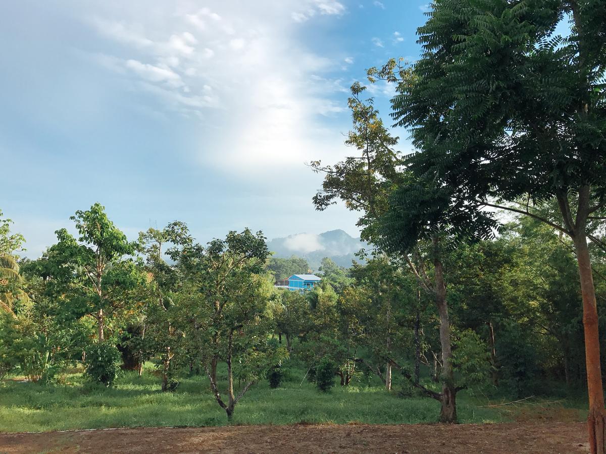 The Box House Hotel Krabi Ngoại thất bức ảnh